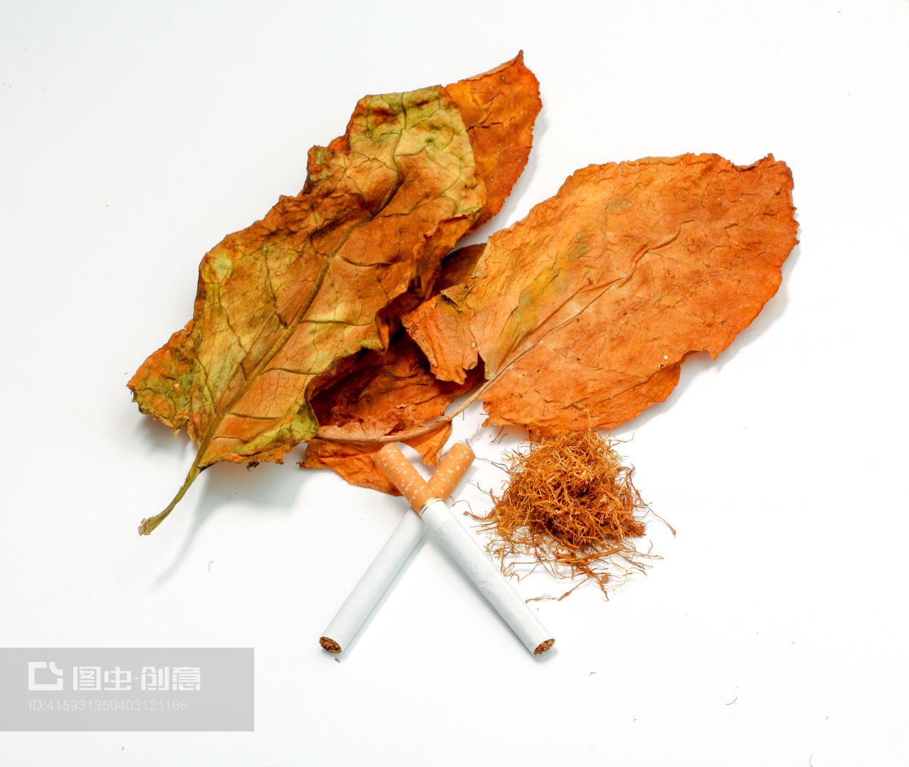 白底上的沉思 干葉與香煙的對(duì)話